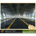 Birdsitter ISO9001 qualifizierte automatische Broiler Rate Hühnerhaus Design